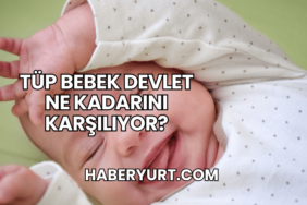 Tüp Bebek Devlet Ne Kadarını Karşılıyor?