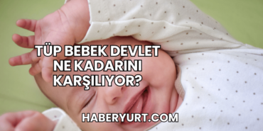 Tüp Bebek Devlet Ne Kadarını Karşılıyor?