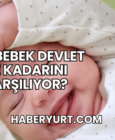 Tüp Bebek Devlet Ne Kadarını Karşılıyor?