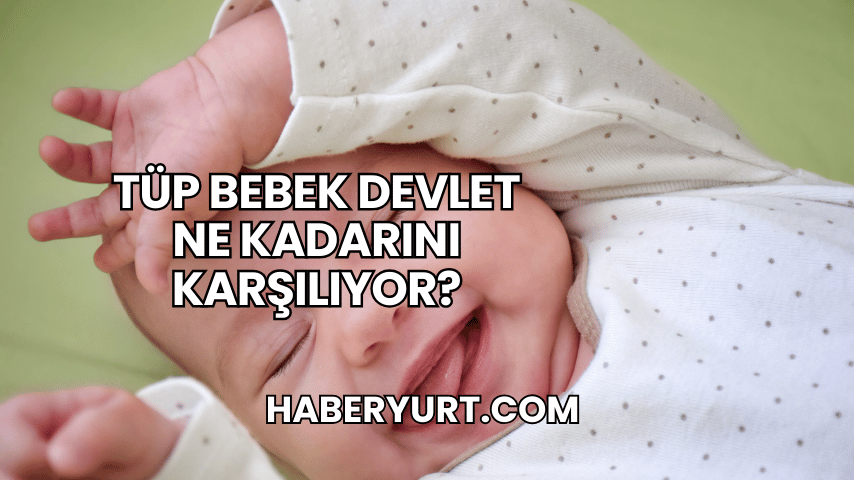 Tüp Bebek Devlet Ne Kadarını Karşılıyor?