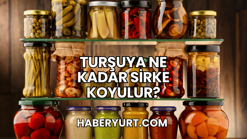 Turşuya Ne Kadar Sirke Koyulur?