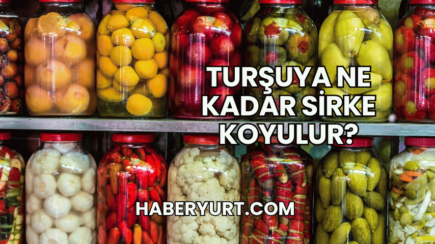 Turşuya Ne Kadar Sirke Koyulur?