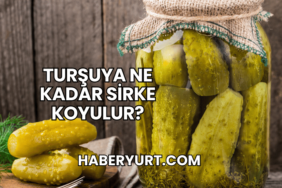 Turşuya Ne Kadar Sirke Koyulur?