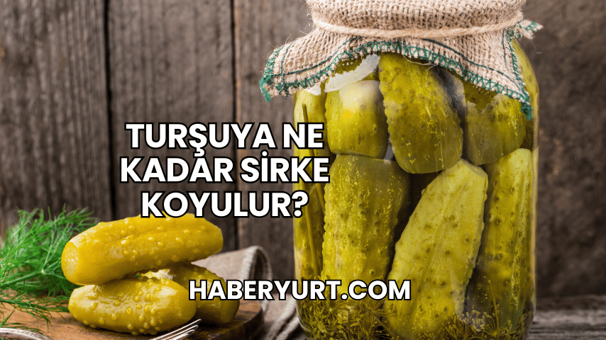 Turşuya Ne Kadar Sirke Koyulur?