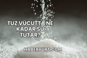 Tuz Vücutta Ne Kadar Su Tutar?