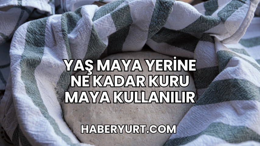 Yaş Maya Yerine Ne Kadar Kuru Maya Kullanılır