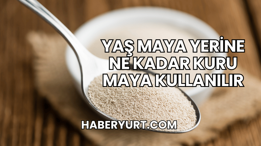 Yaş Maya Yerine Ne Kadar Kuru Maya Kullanılır