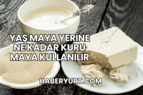 Yaş Maya Yerine Ne Kadar Kuru Maya Kullanılır