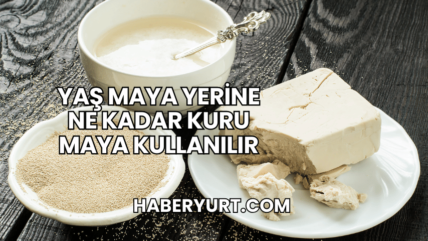 Yaş Maya Yerine Ne Kadar Kuru Maya Kullanılır