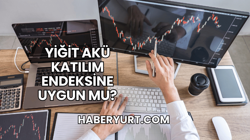 Yiğit Akü Katılım Endeksine Uygun mu?