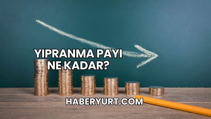 Yıpranma Payı Ne Kadar?