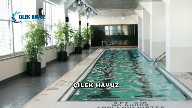 Çilek Havuz Hakkında