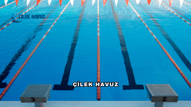 Çilek Havuz Hakkında