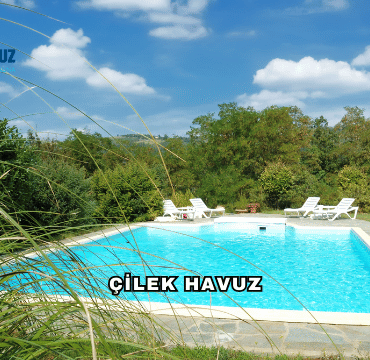 Çilek Havuz: Havuz Yapımında Güvenin Adresi