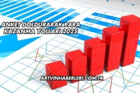 Anket Doldurarak Para Kazanma Yolları 2025