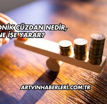 Elektronik Cüzdan Nedir, Ne İşe Yarar?
