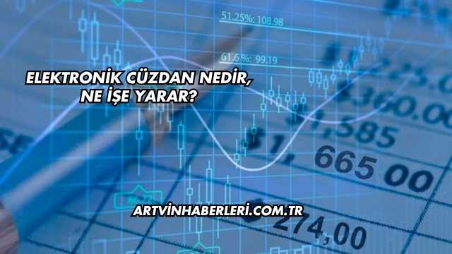 Elektronik Cüzdan Nedir, Ne İşe Yarar?