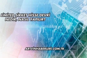 Limited Şirket Hisse Devri Nedir, Nasıl Yapılır?