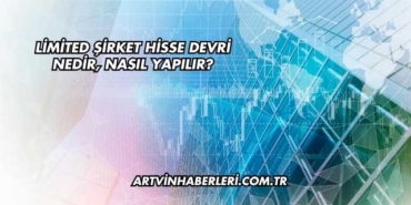 Limited Şirket Hisse Devri Nedir, Nasıl Yapılır?