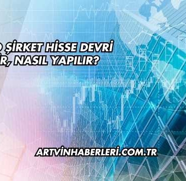 Limited Şirket Hisse Devri Nedir, Nasıl Yapılır?
