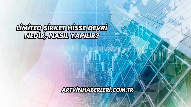 Limited Şirket Hisse Devri Nedir, Nasıl Yapılır?
