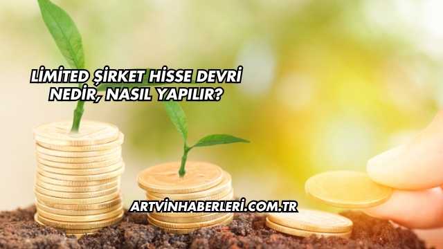 Limited Şirket Hisse Devri Nedir, Nasıl Yapılır?