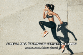 Stresin Kilo Üzerindeki Etkileri Nelerdir?