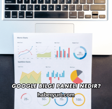 Google Bilgi Paneli Nedir